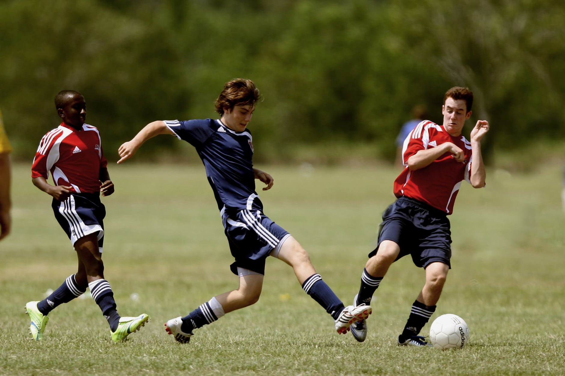 Guía de apuestas deportivas para principiantes: todo lo que necesitas saber