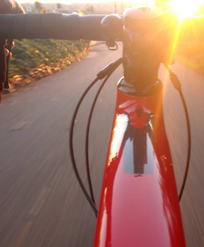 Cómo es el ciclismo en las apuestas deportivas