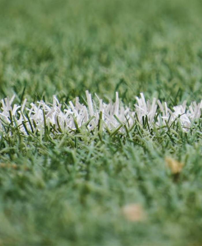 Cómo declarar las apuestas deportivas