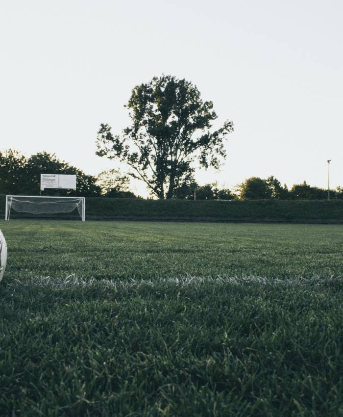 Las apuestas deportivas se convierten en la nueva tendencia de 2020